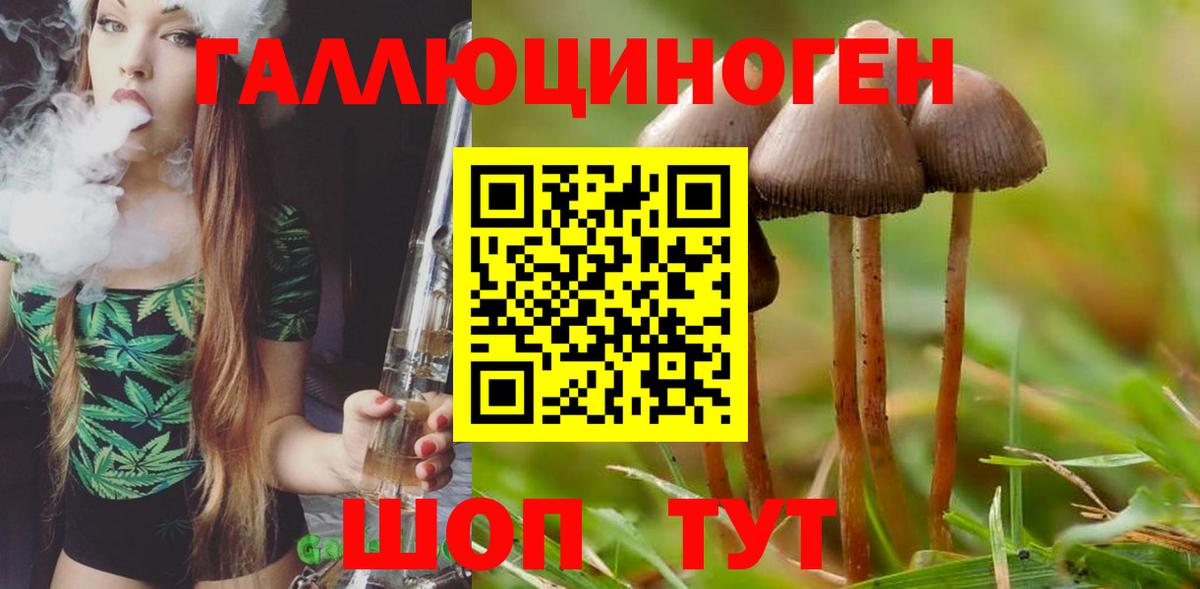Галлюциногенные грибы мухоморы  наркота  Узловая  Псилоцибиновые грибы ЛСД  Вход с VPN 