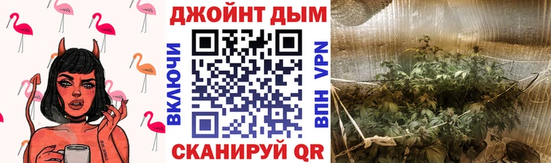 МАРИХУАНА OG Kush Узловая